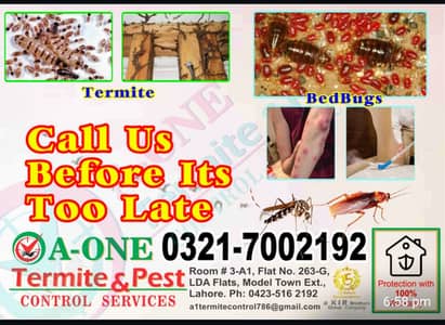 Rats,Cockroac,Demak Control, Termite Control,Dengue spry,Bedbugs,pest