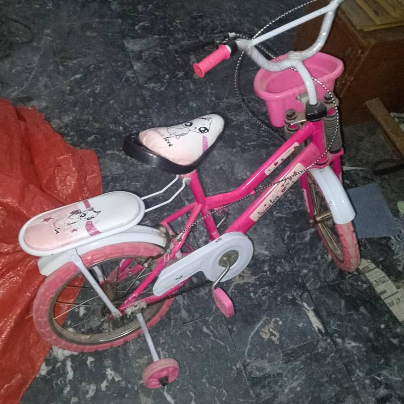 pink cycle 1