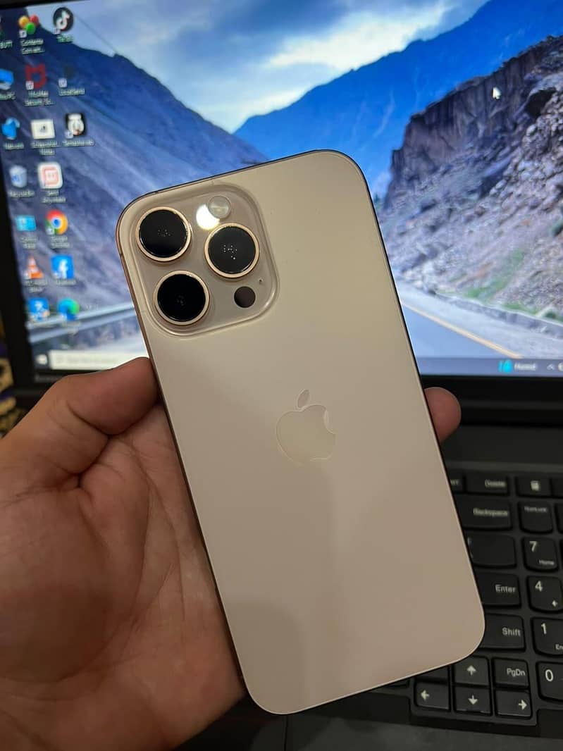 Apple iPhone 16 Pro Max 1