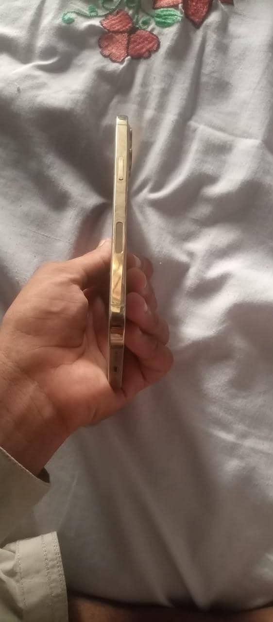 Apple iPhone 12 Pro Max 2