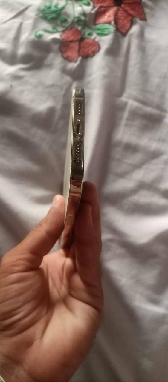 Apple iPhone 12 Pro Max 3