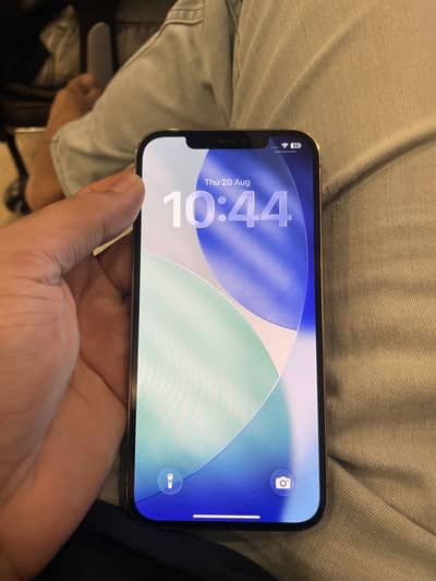 Apple iPhone 12 Pro Max