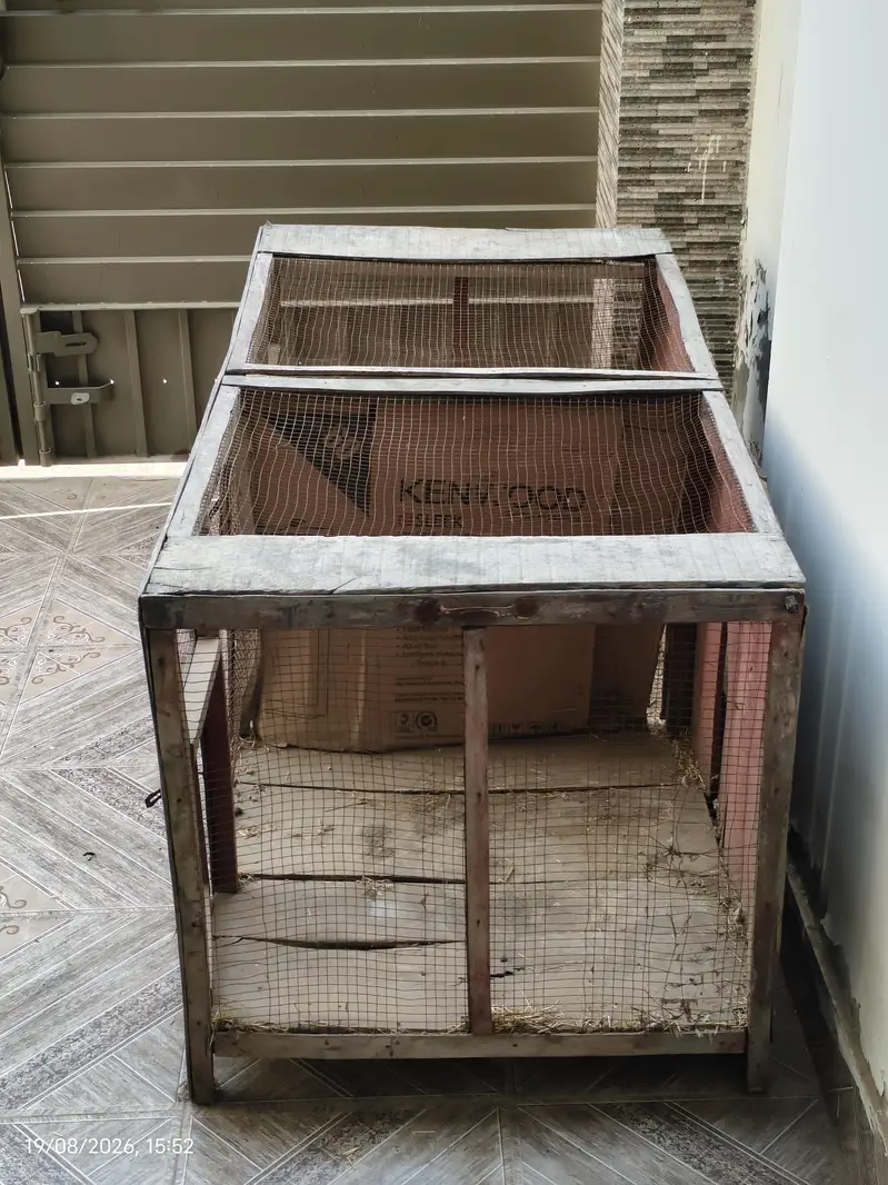 wooden Cage — photo 3