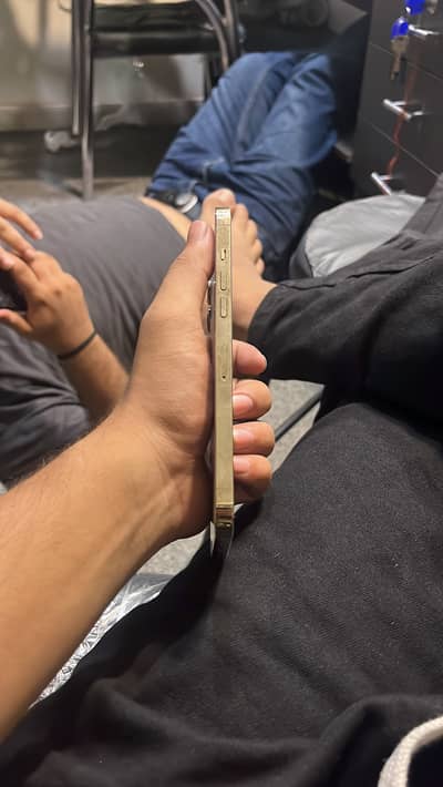 Apple iPhone 12 Pro Max