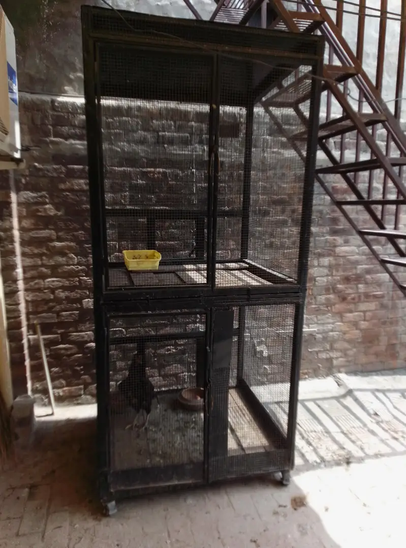 Pinjra for sale