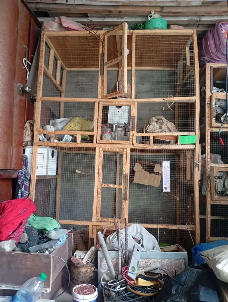 6/4 length and worth bird cage urgent sale