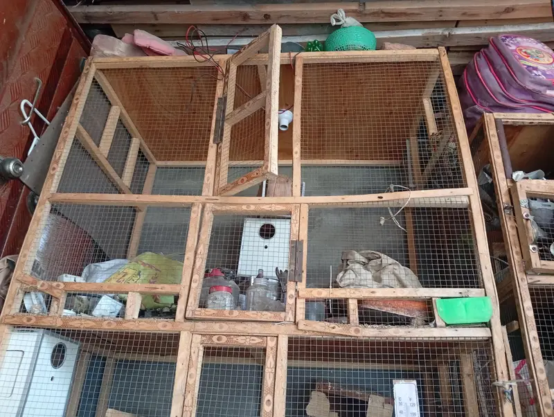 6/4 length and worth bird cage urgent sale — photo 2
