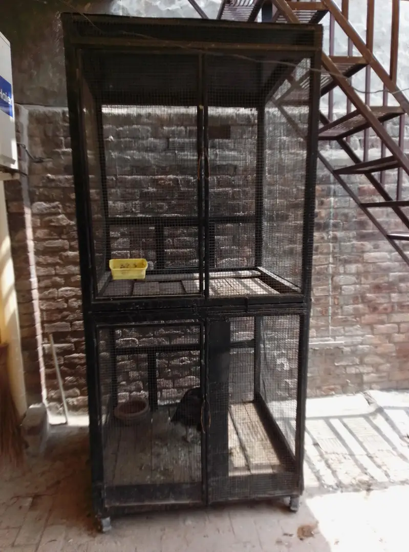 Pinjra for sale — photo 3