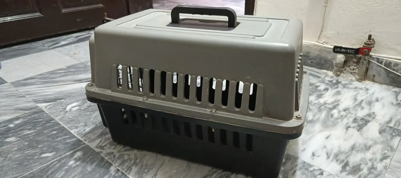 Pet Transport Box — photo 3