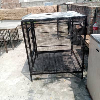 cage for birds