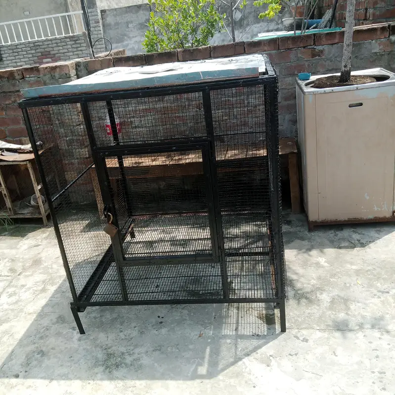 cage for birds — photo 2