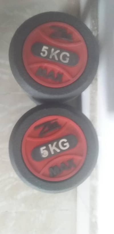 2x5kg