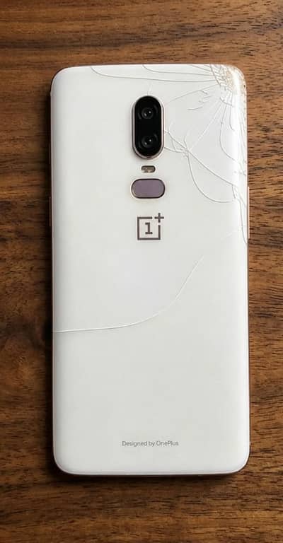 One Plus 6