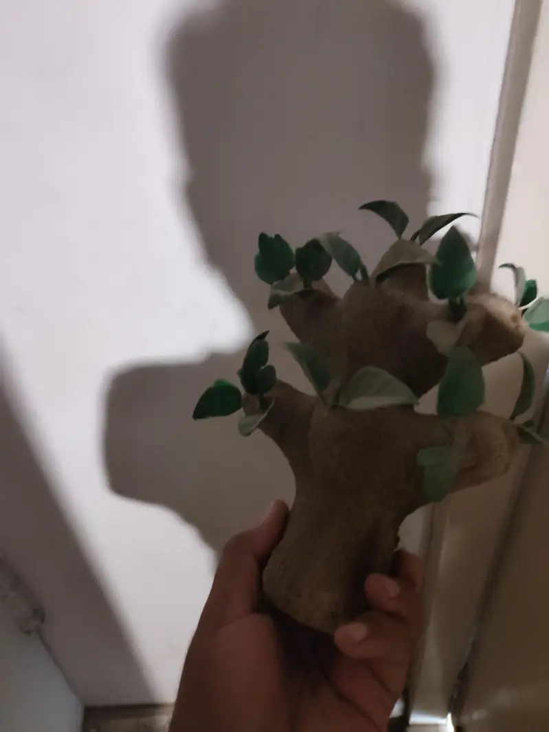 aquarium decorations antique pcs 03002627668 — photo 6