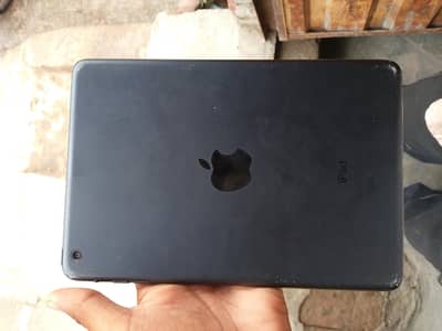 ipad mini panal damege