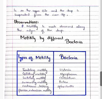 Handwritten and Typewriting Assignment and presentation
