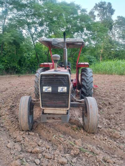 Massey Ferguson 260 for sale