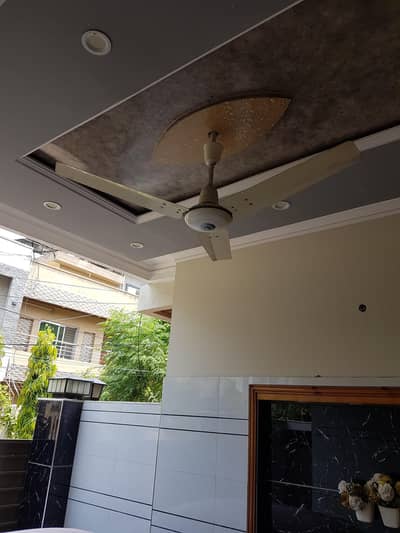 celling fan sell