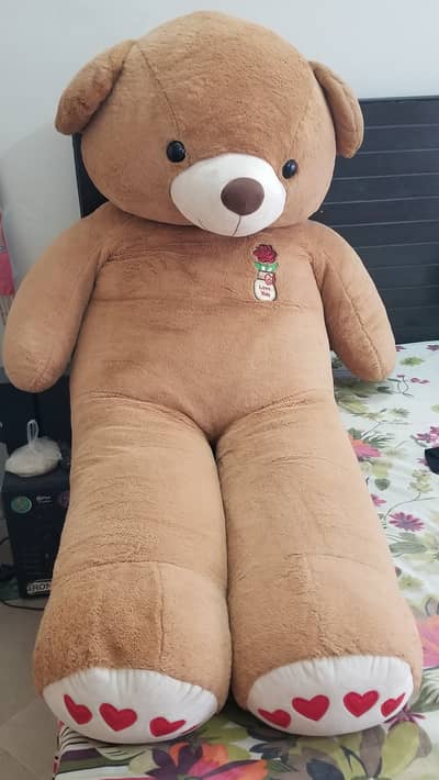 6 feet brown Teady bear 
