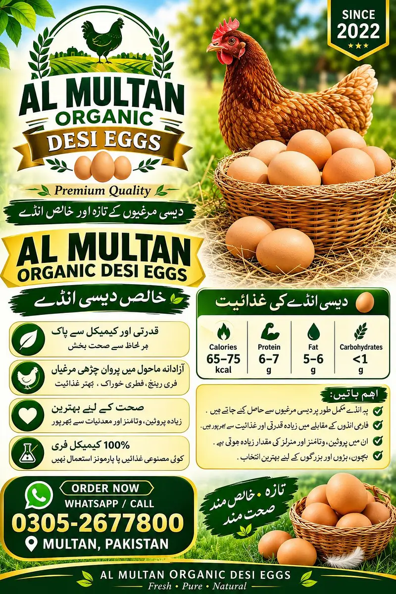 Al multan organic eggs — photo 2