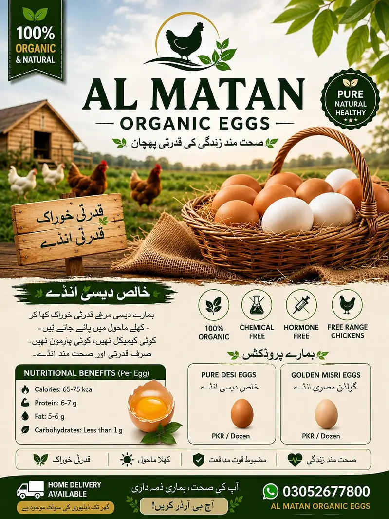 Al multan organic eggs — photo 3
