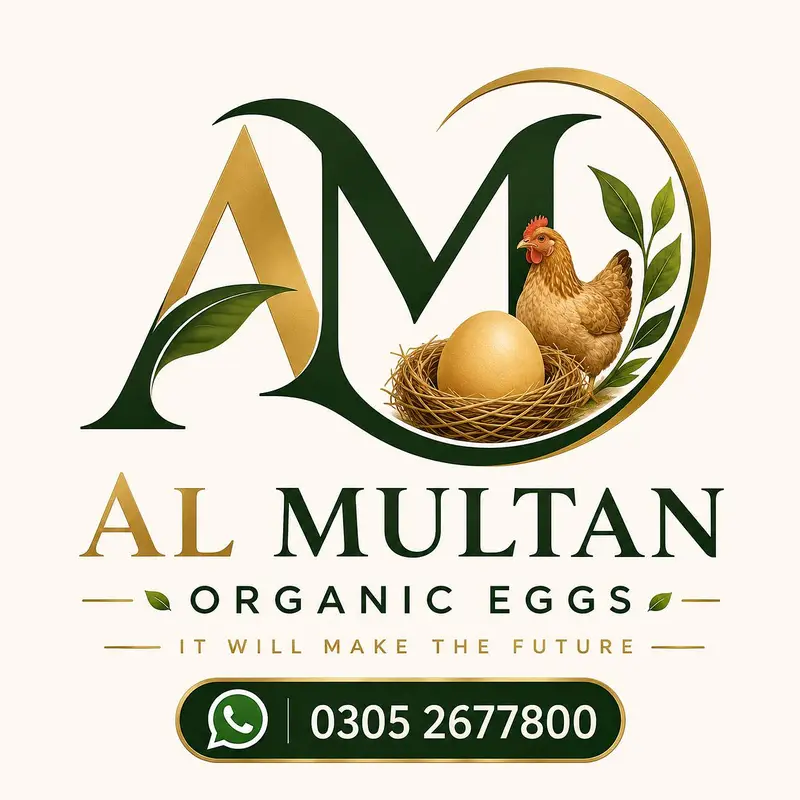 Al multan organic eggs — photo 4