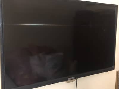 Orient lcd 24inch