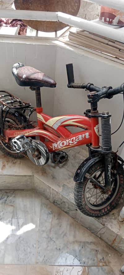 Cycle and Remote control car