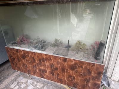 Aquarium for Sale