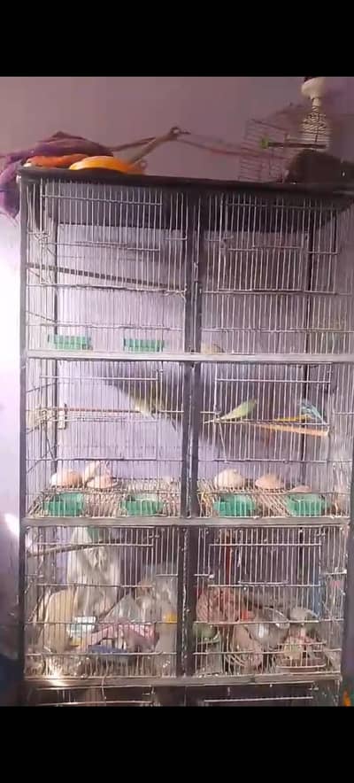 cage for sale