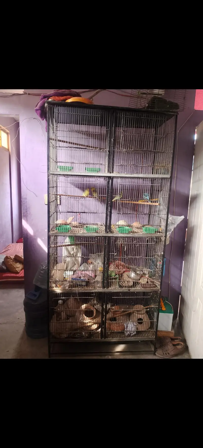 cage for sale — photo 2