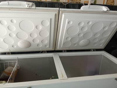 hair freezer double door full size