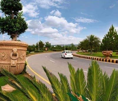 Main Boulevard Solid Land Best Location Of Gulberg.