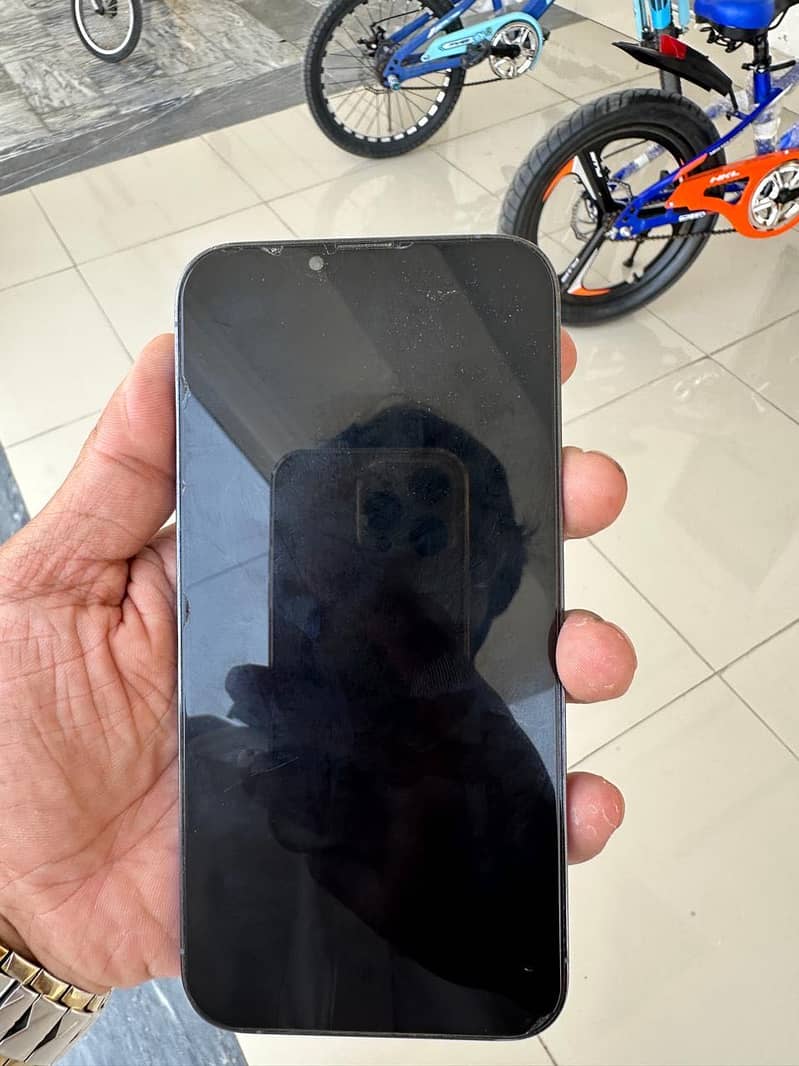 Apple iPhone 13 Pro Max 1