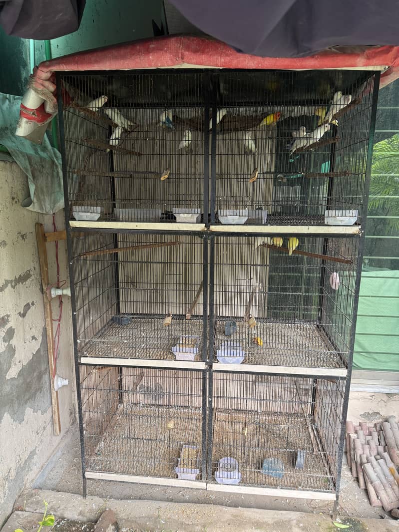 Very Solid iron cage 1