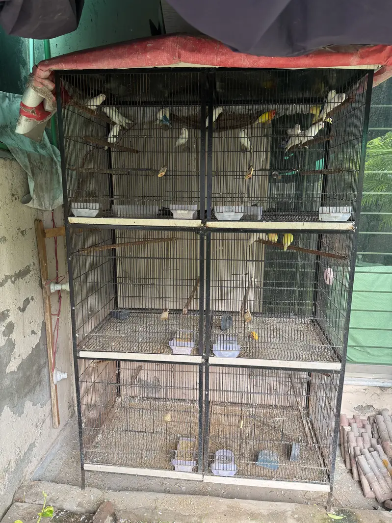 Very Solid iron cage — photo 2