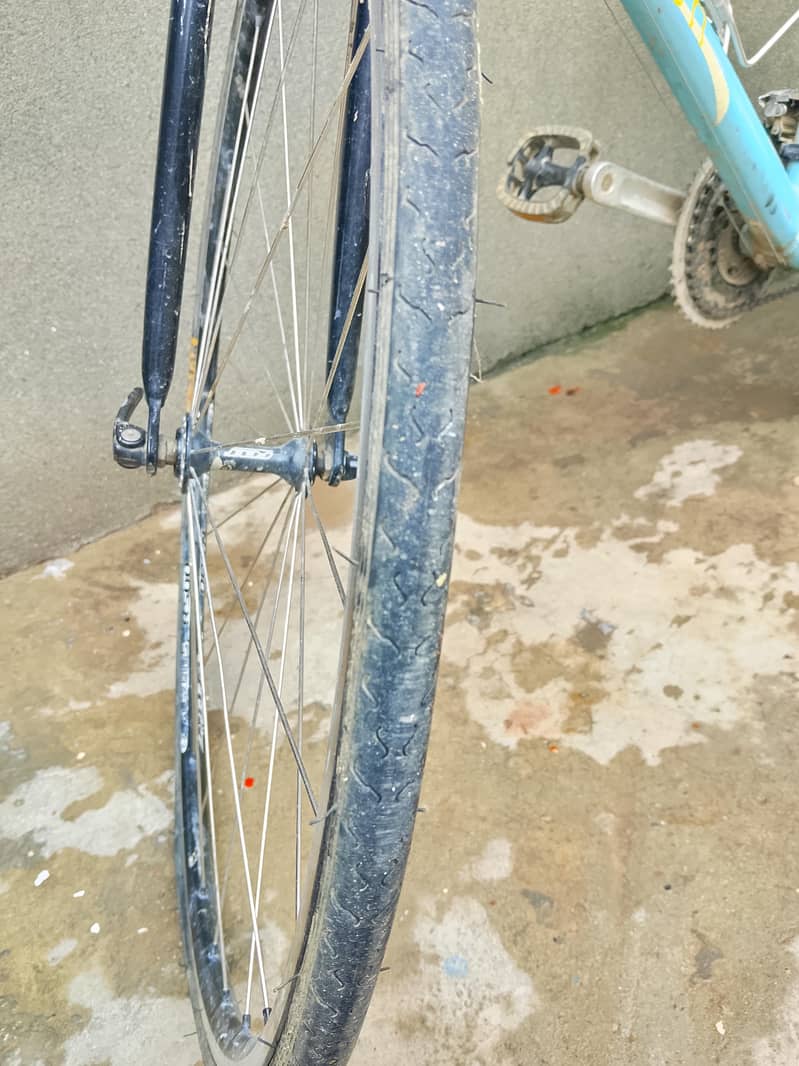 raser cycle 3