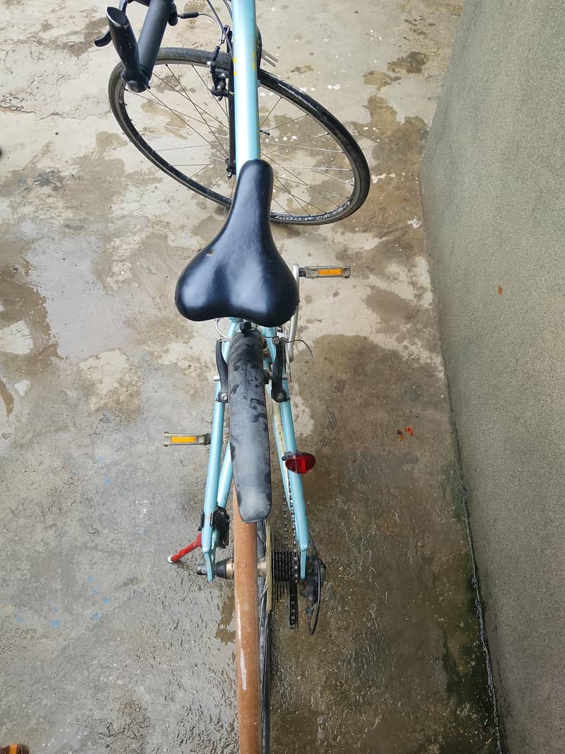 raser cycle 4