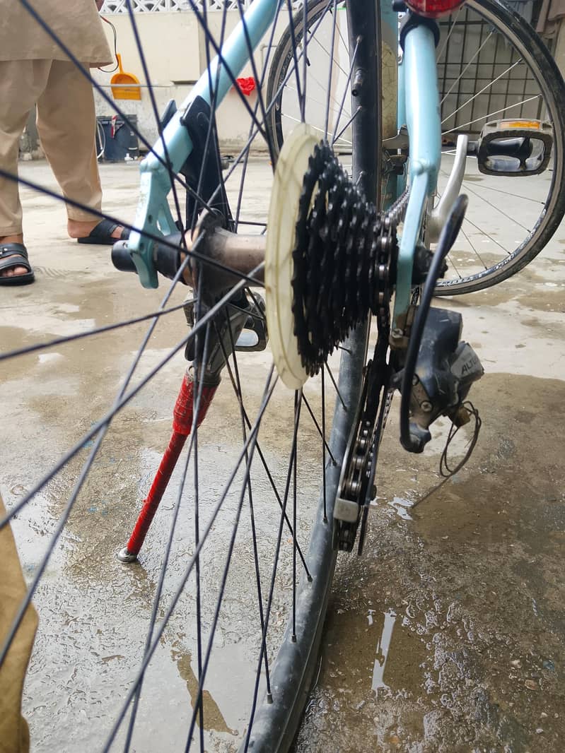 raser cycle 5