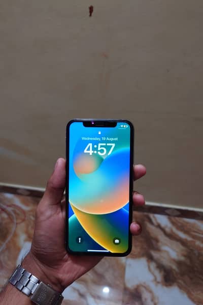 Apple iPhone X