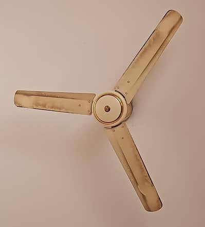Pak Fan