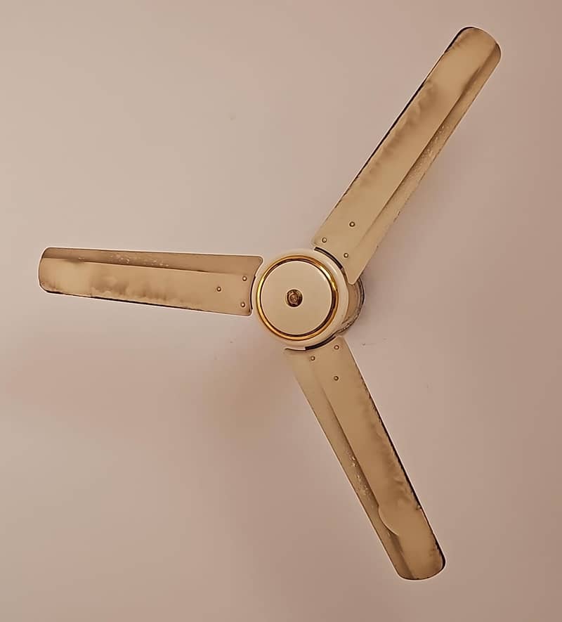 Pak Fan 0