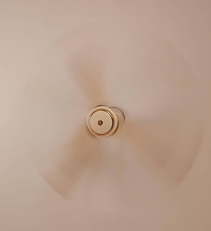 Pak Fan 1