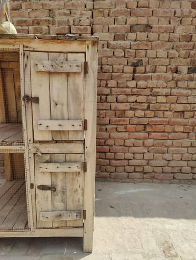Hens or parrots k leay best ha mazboot chez h 30kg wait ha iska
