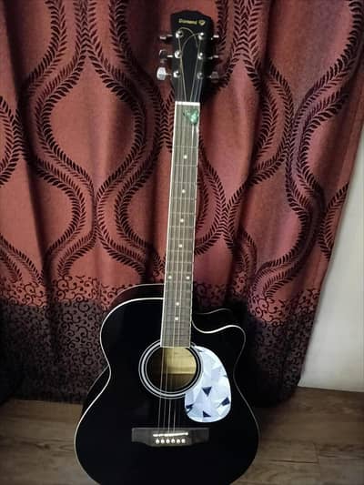 Acoustic Guitar