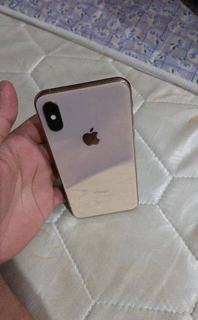 Apple iPhone X