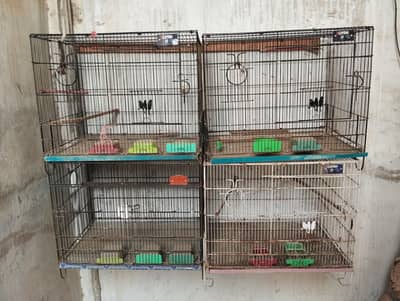 Cage for birds