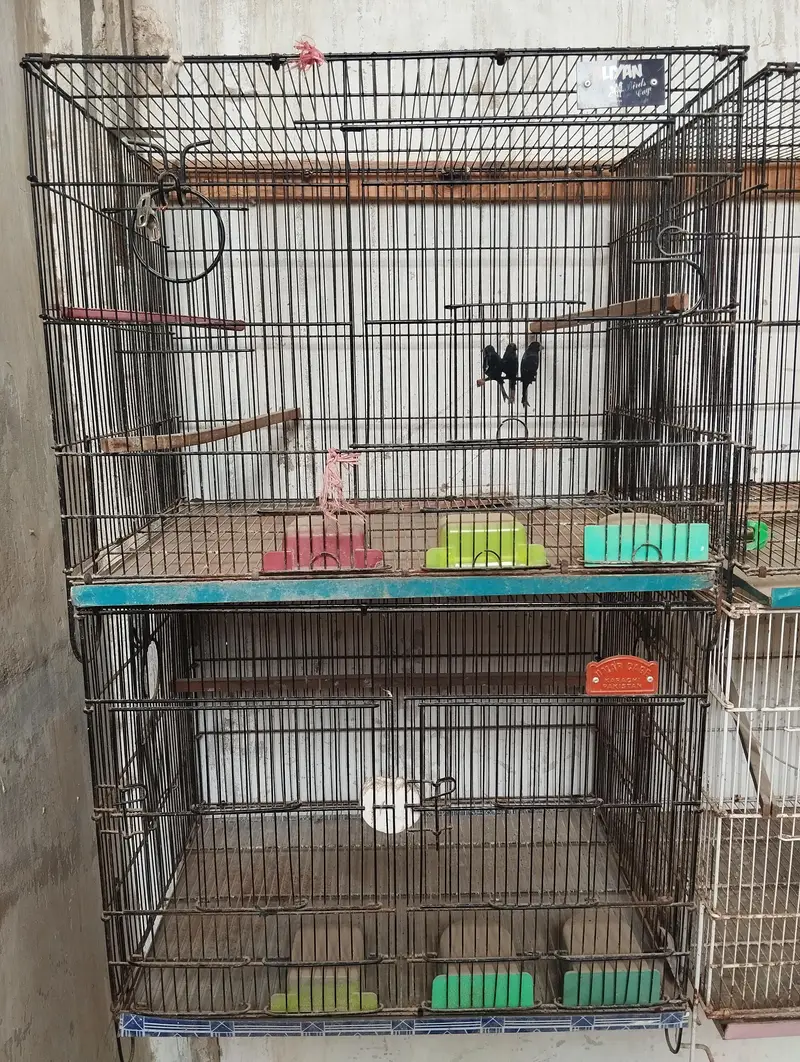 Cage for birds — photo 2