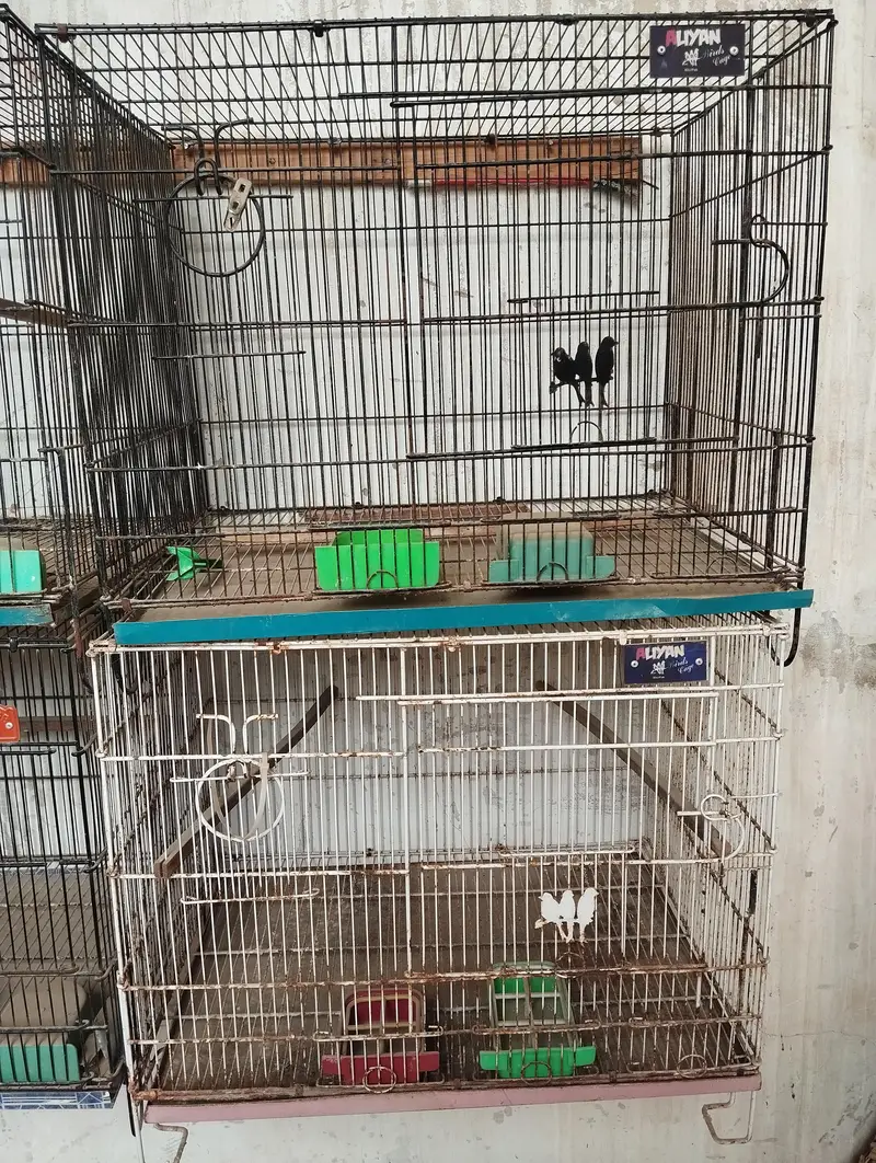 Cage for birds — photo 3