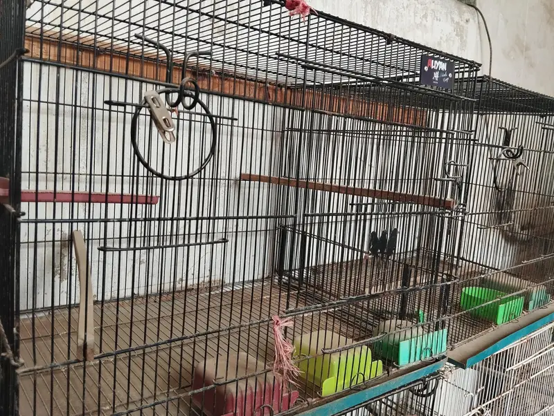 Cage for birds — photo 4